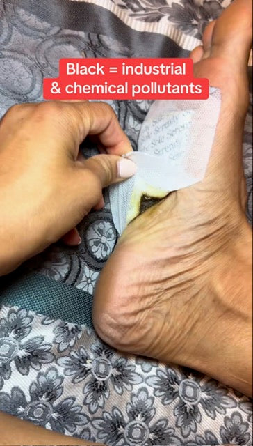 Natural Detox Foot Pads Sole Patch